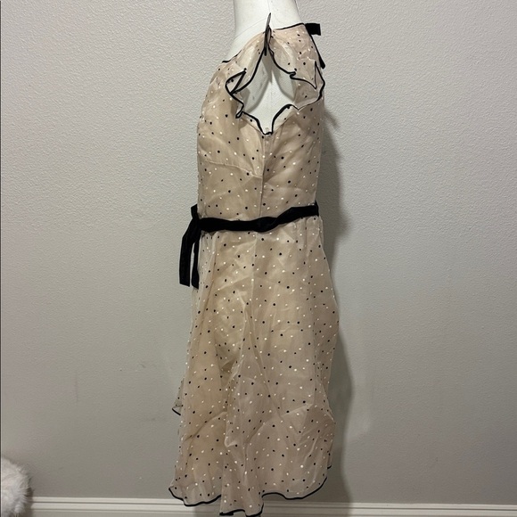 Valentino Beige Silk Polka Dots Embroidered Ruffle Sleeve Bow Waist Flare Dress - Picture 6 of 12